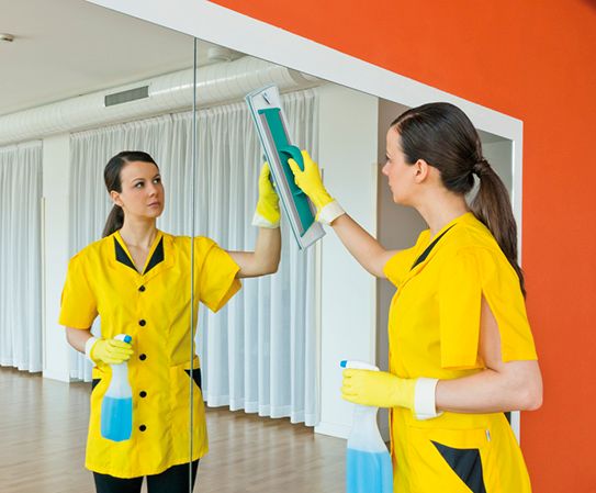 set-za-ciscenje-staklenih-i-glatkih-povrsina-7