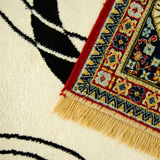 sredstvo-za-uklanjanje-fleka-sa-tepiha-5