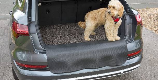 zastitna-prostirka-za-kucne-ljubimce