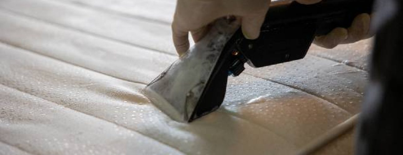 kako-odabrati-najbolji-usisivac-za-dubinsko-pranje